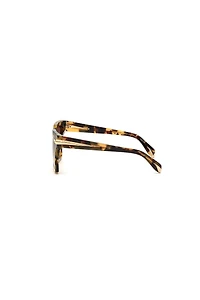 Roberto Cavalli Sunglasses Fang Collection