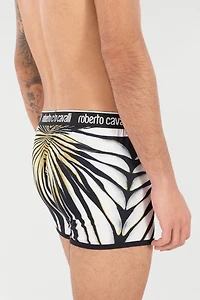 Boxers With Ray Of Gold Print