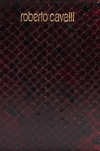 Zip-around wallet in printed leather