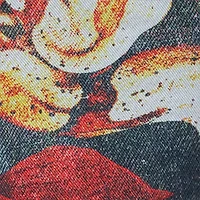 Denim Shorts With Roses And Snakes