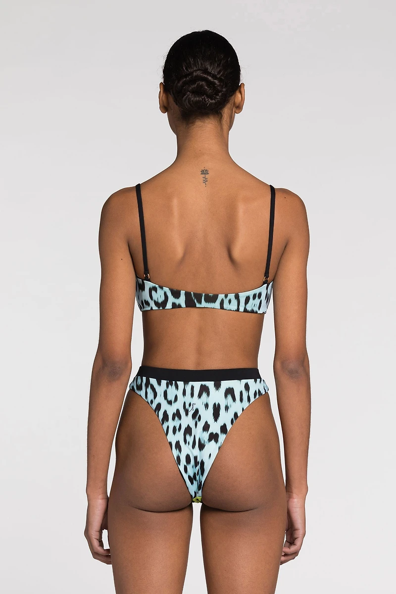 Leopard-print bikini bottoms
