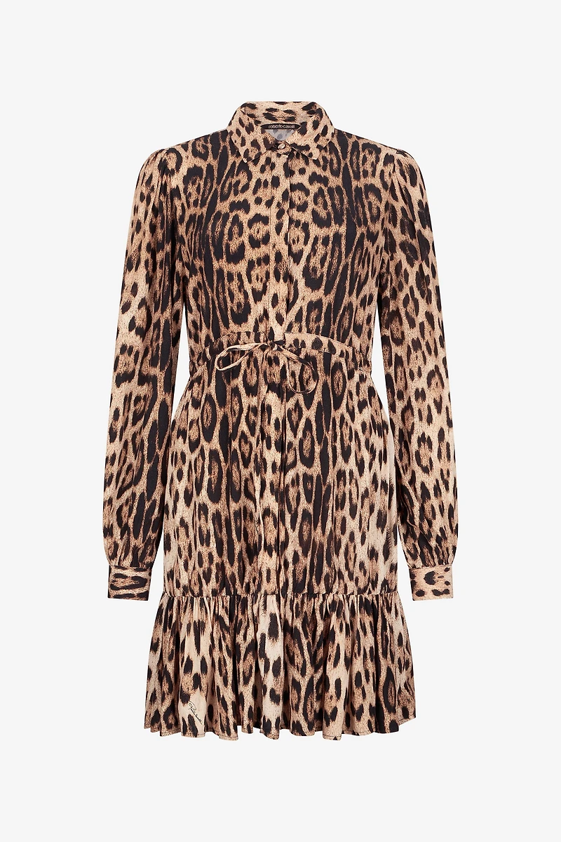 Leopard Print Mini Dress