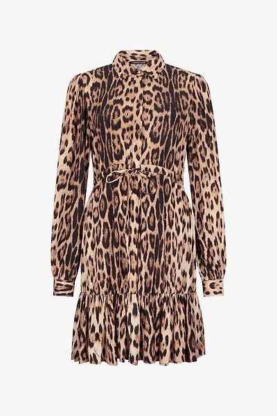 Leopard Print Mini Dress
