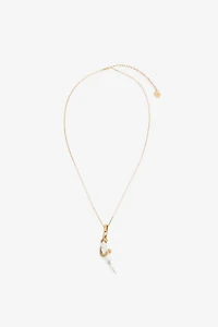 Necklace with Fang pendant