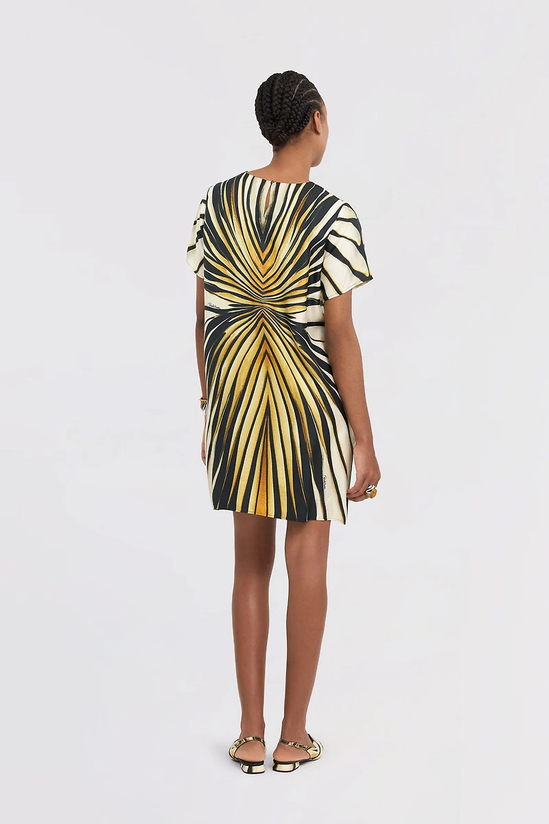 Ray Of Gold Print Silk Mini Dress