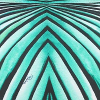 Silk Blend T-Shirt With Ray Of Sea Print