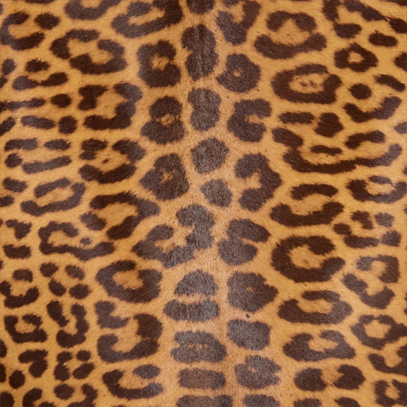 Leather Jacket With Leopard Skin Print