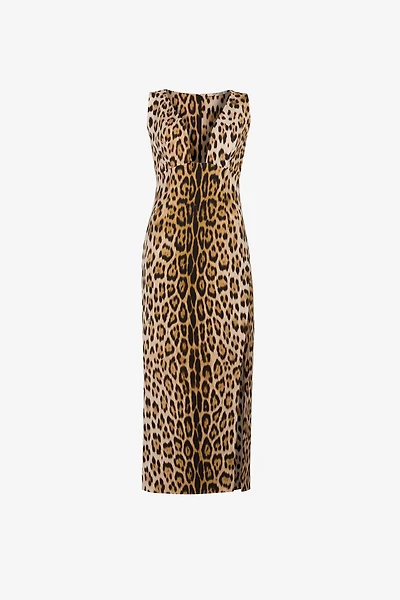 Jaguar-Print Dress