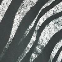 Long Dress With Zebra Print