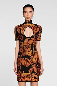 Rose-Jacquard Cut-Out Mini Dress