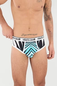 Briefs With Ray Of Sea Print