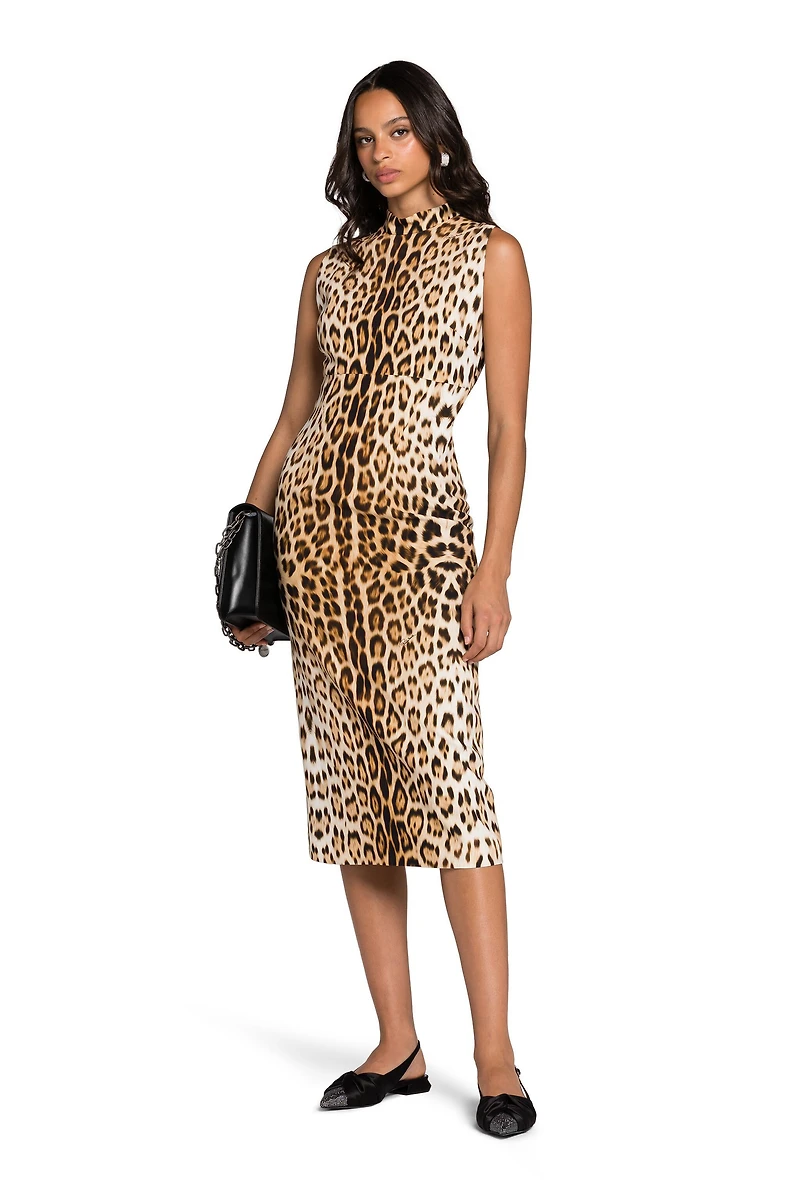 Leopard-Print Dress