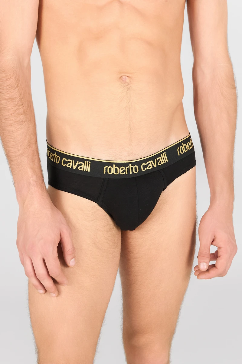 Set of two briefs with logo band