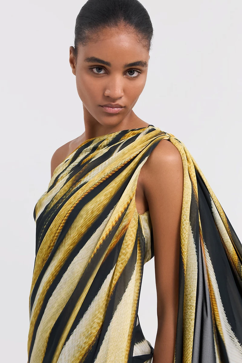 Ray Of Gold Print Silk Maxi Dress