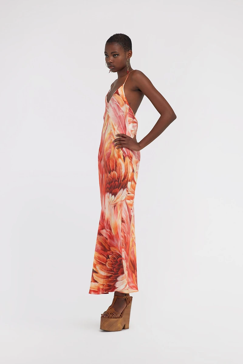 Plumange Print Silk Maxi Dress