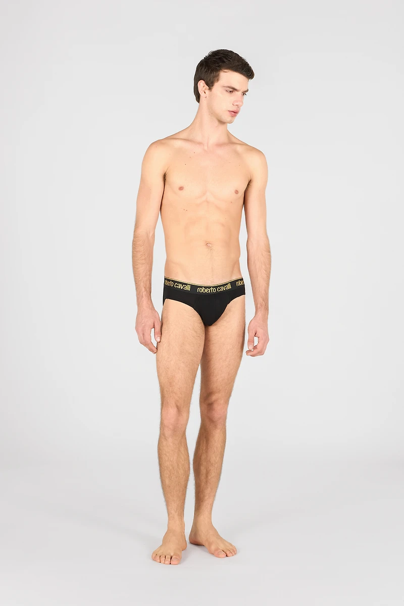 Set of two briefs with logo band