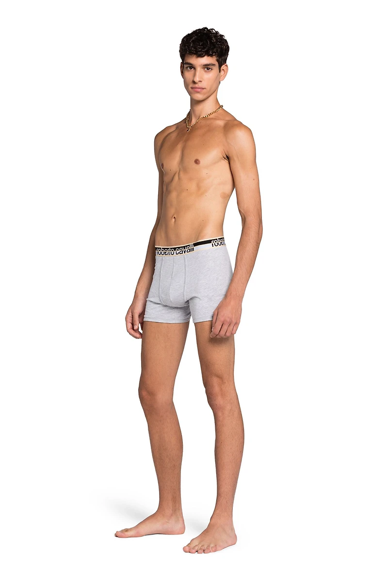 Logo Boxer Briefs