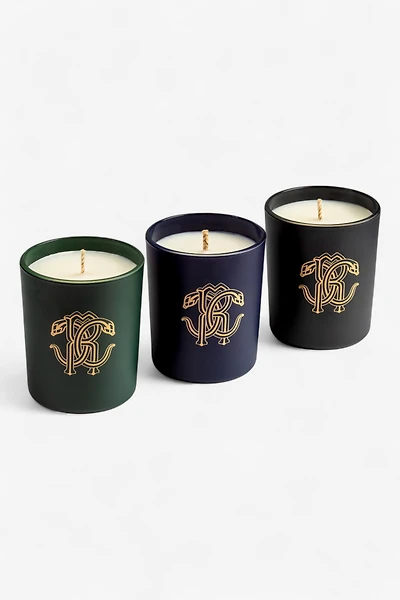 Gold Jungle Set of Three Scented Candles 80 G
