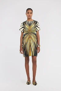 Ray Of Gold Print Silk Mini Dress