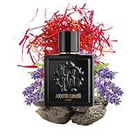 ROBERTO CAVALLI UOMO EAU DE TOILETTE 100 ML