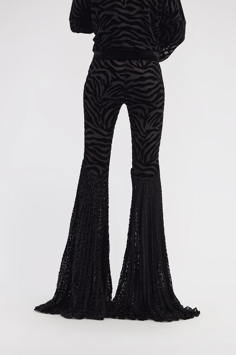 Velvet pants with Ray of Gold print