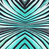 Ray Of Sea Print Swimsuit