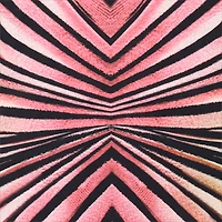 Trikini With Ray Of Pink Print