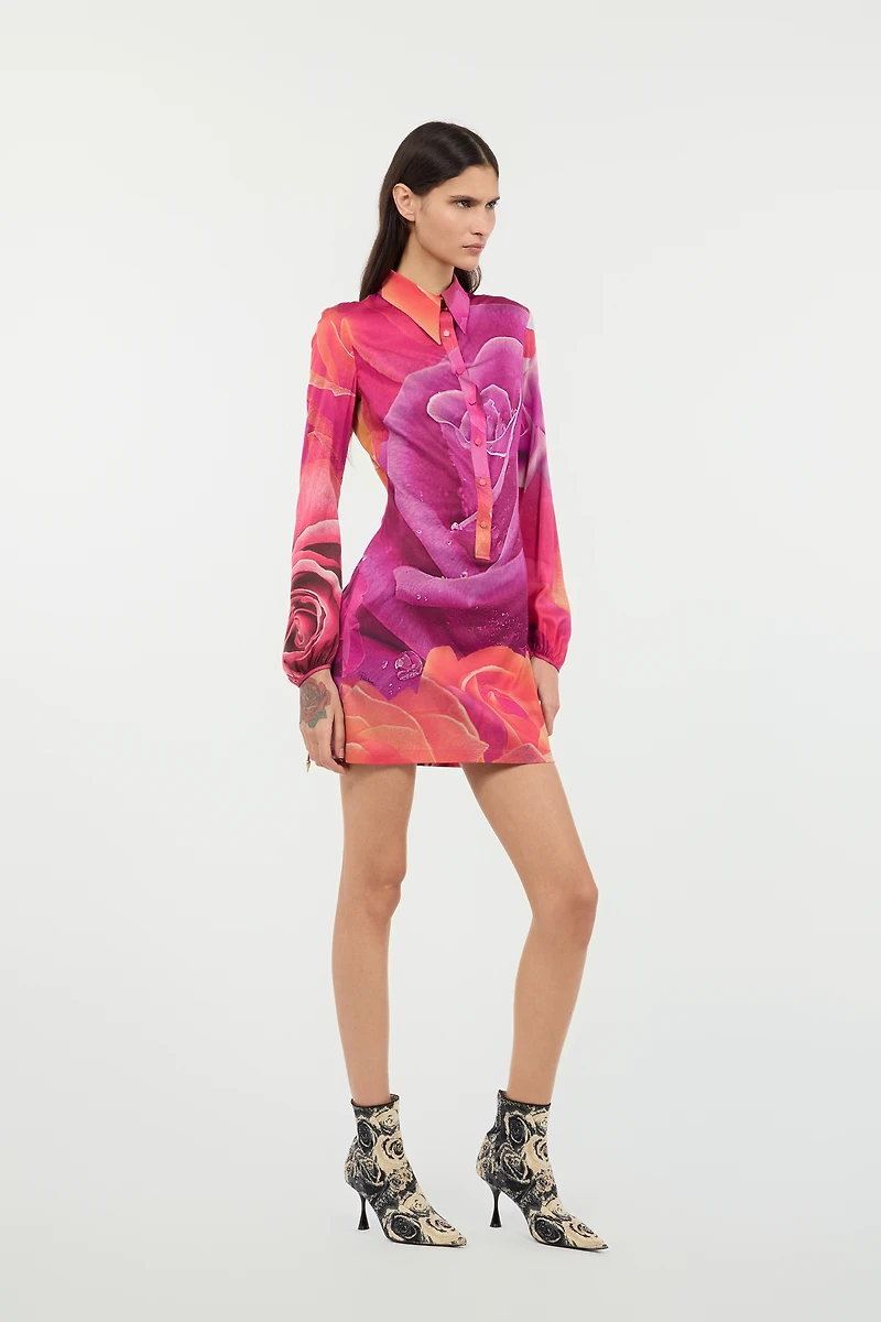 Mini Dress With Garden Rose Print