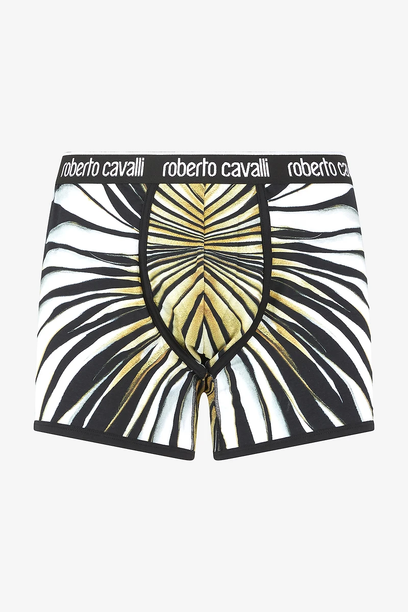 Boxers With Ray Of Gold Print