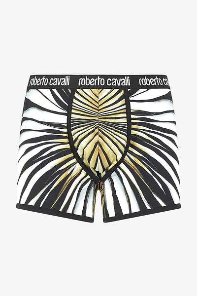 Boxers With Ray Of Gold Print
