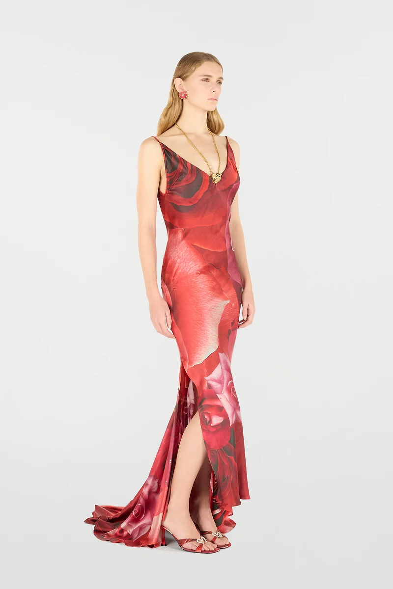 Long Dress With Rose Print And Bejeweled Tiger