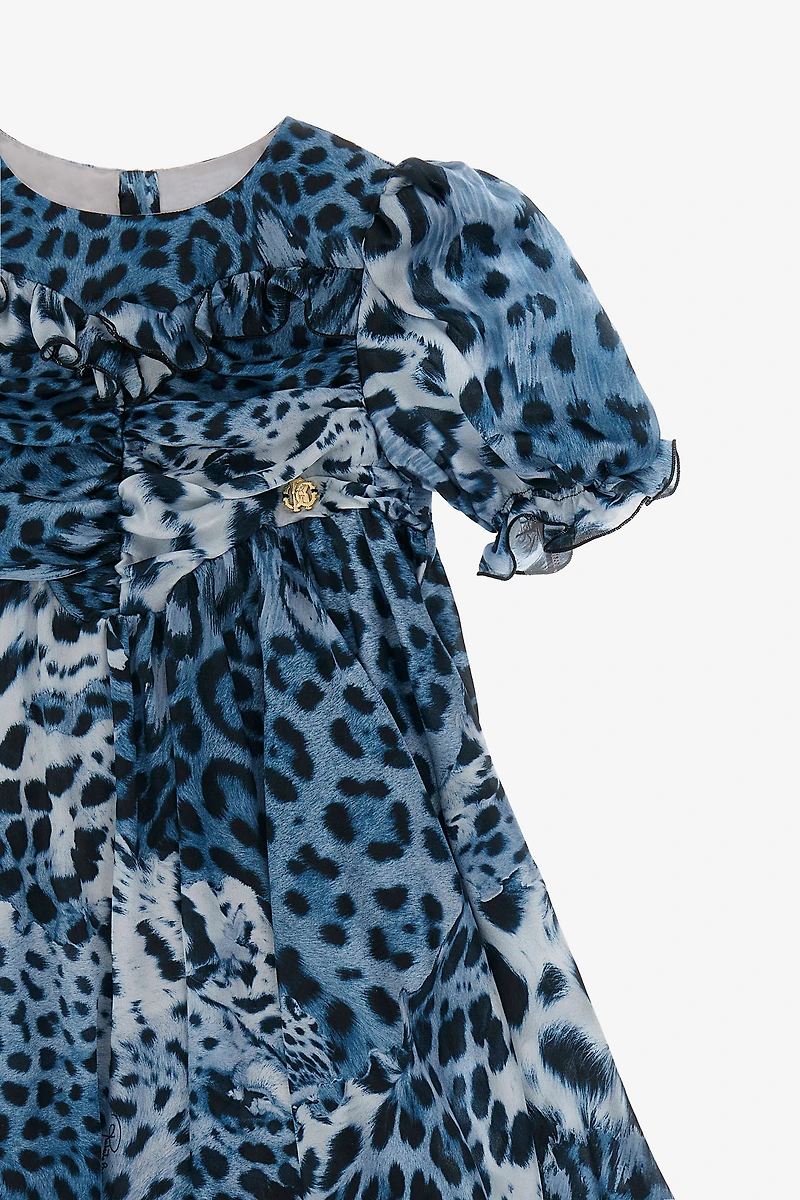 Leopard print Dress
