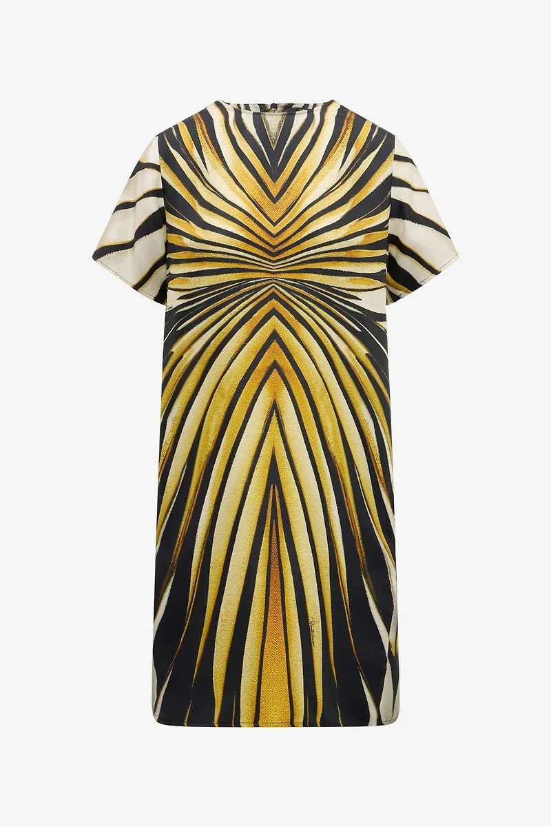 Ray Of Gold Print Silk Mini Dress