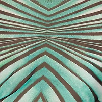 Ray of Sea Print Top