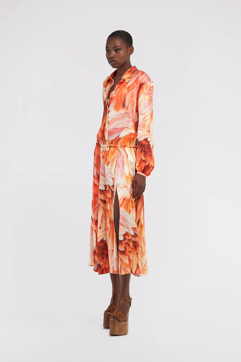 Long dress Plumage print