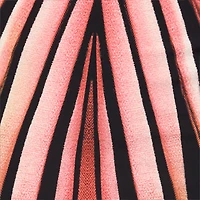 Sheath Dress With Ray Of Pink Print
