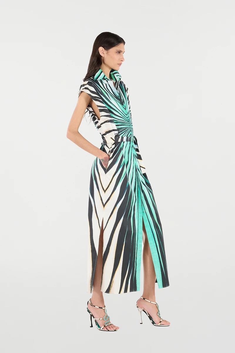 Ray Of Sea Print Midi Dress