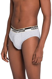 Logo Briefs