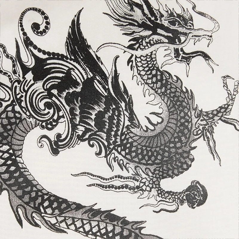 Cotton Shirt With Dragons