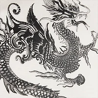 Cotton Shirt With Dragons