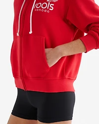 Chandail à capuchon et glissière Athlétisme nordique