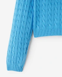Roots Cable Crew Sweater