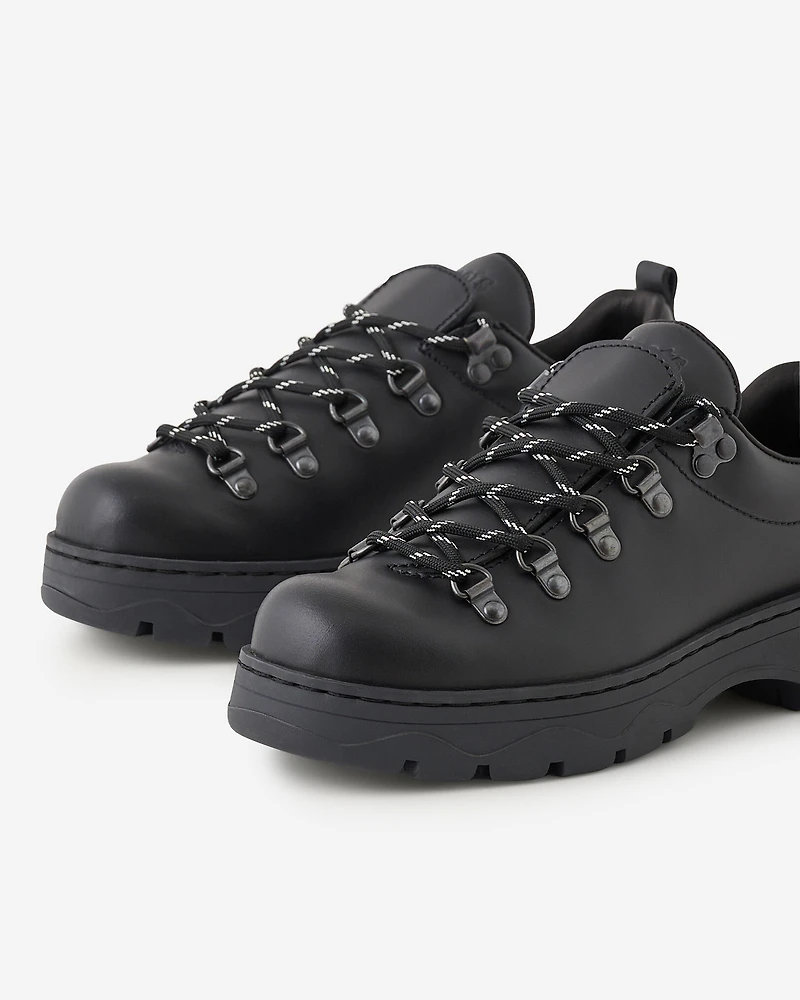 Nordic Shoe