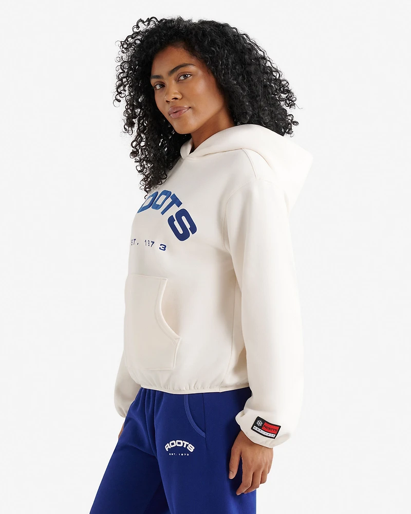 Chandail à capuchon Alpine Goods