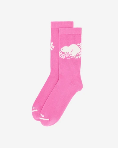Adult Cooper Beaver Sock
