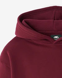 Chandail à capuchon Signature Roots pour enfants