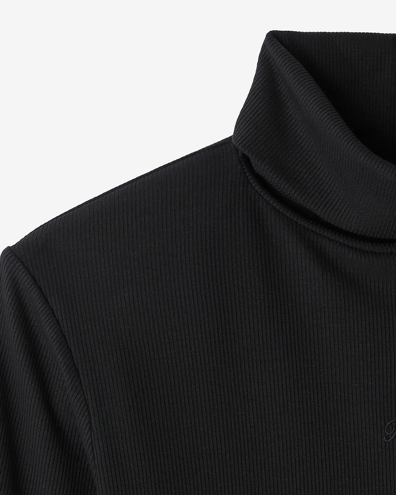 Rib Turtleneck