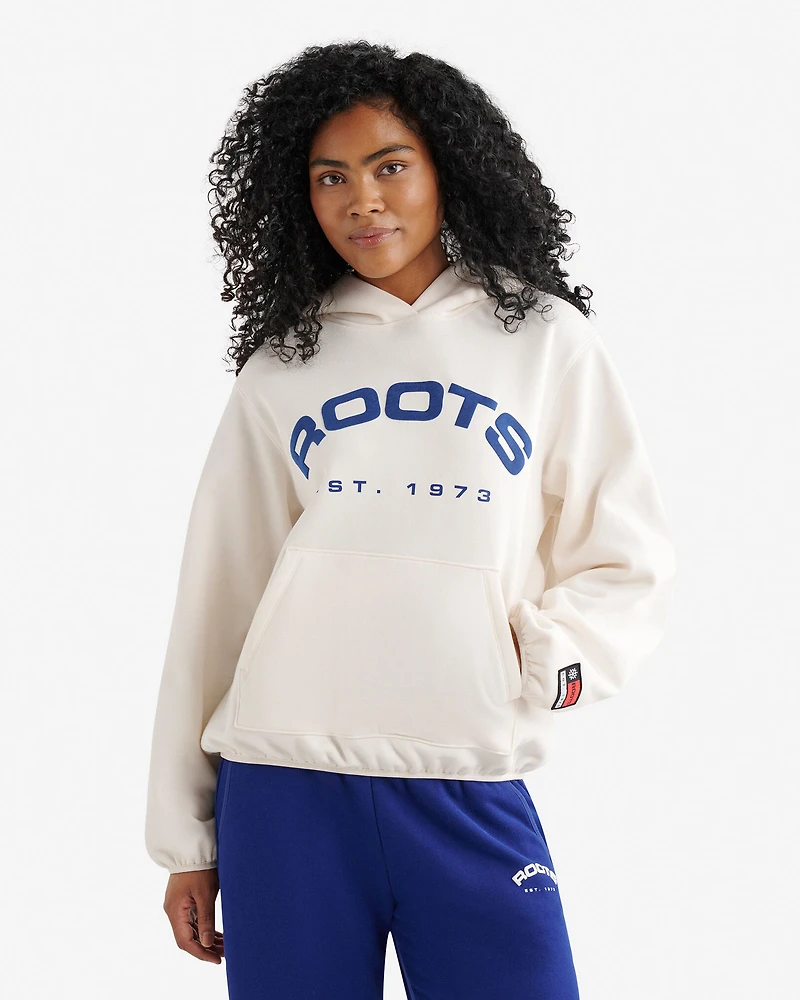 Chandail à capuchon Alpine Goods