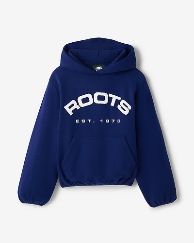 Chandail à capuchon Alpine Goods