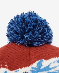 Tuque en tricot intarsia Paysage